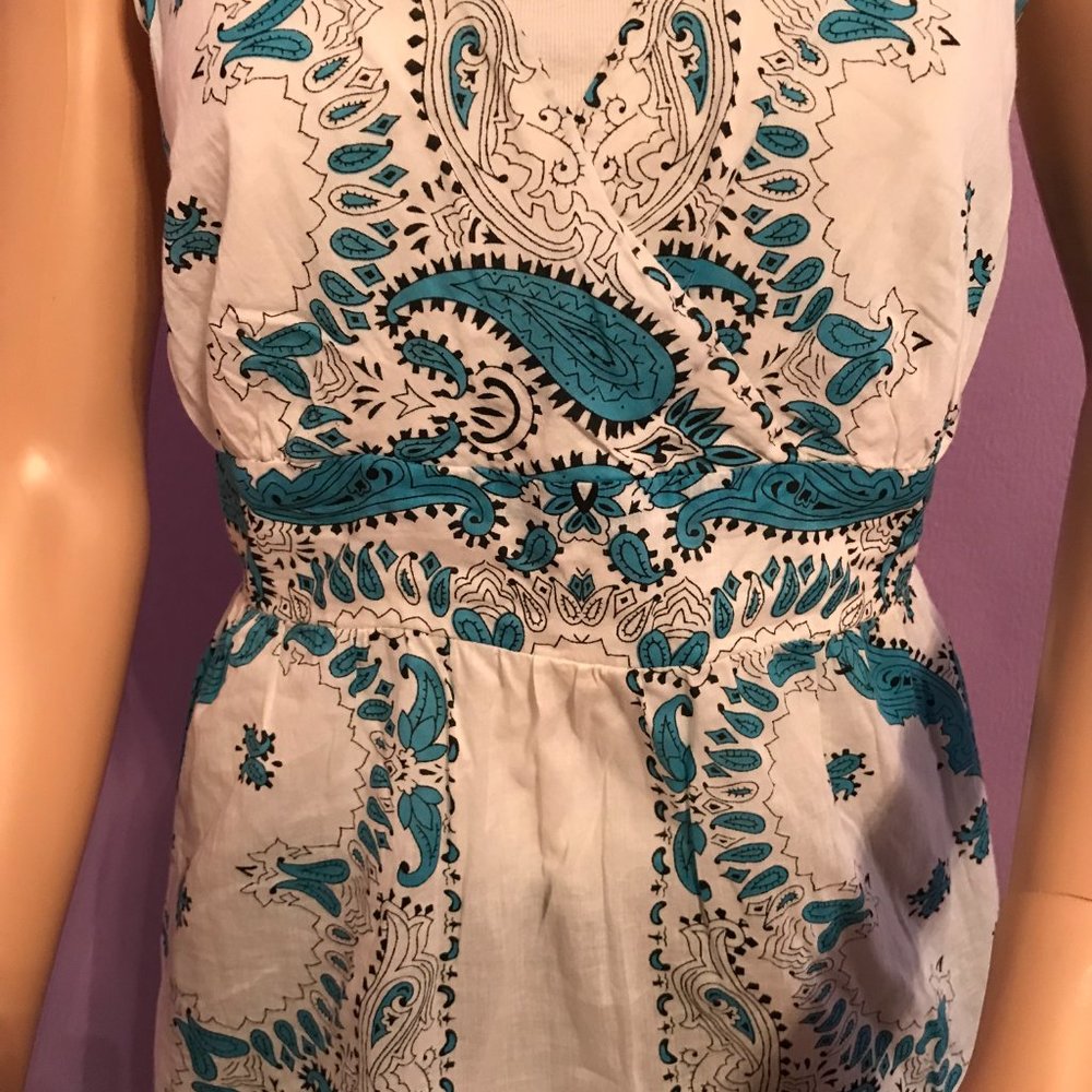 Blue Plate - Picture 2 of 4